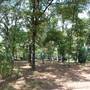 Quitman Arboretum