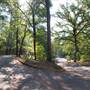 Tyler State Park