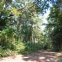 Tyler State Park