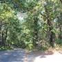 Tyler State Park