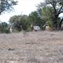Henly Hill Ranch