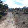 Henly Hill Ranch