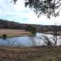 Longhorn River Ranch