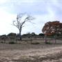 Longhorn River Ranch