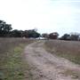 Longhorn River Ranch