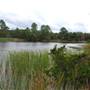 Lake Bastrop - South Shore Park
