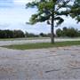 Lake Bastrop - North Shore Park