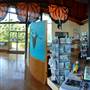 World Birding Center