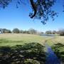 Butler Park