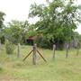 Storm Ranch