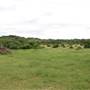 Storm Ranch