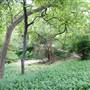 Davis Park