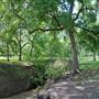 Harry Moss Park