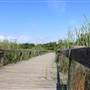 Seabrook Hike & Bike Trails