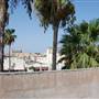 City Plaza - Rooftop Views