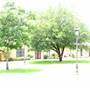 Cottonwood Terrace