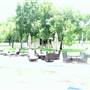 Cottonwood Terrace