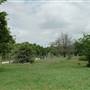 Cemetery No. 2