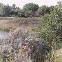 Arrington Ranch
