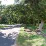 Palmetto State Park