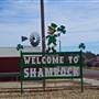 Shamrock