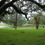 Le Tulle Park