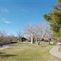 Tom Lea Upper Park