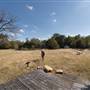 Fuller’s Folly River Ranch