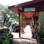 Hill Country Water Gardens & Nursery
