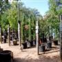 Hill Country Water Gardens & Nursery