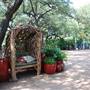 Hill Country Water Gardens & Nursery