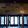 AFS Cinema