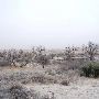 Mendota Ranch