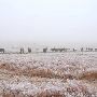 Mendota Ranch