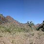 Kokernot o6 Ranch