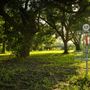 Pete's Path