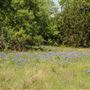 Historic Stagecoach Park