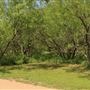 Historic Stagecoach Park