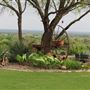 Mesquite Ranch