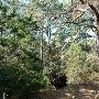 McKinney Roughs Nature Park