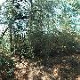 McKinney Roughs Nature Park