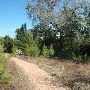 McKinney Roughs Nature Park