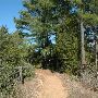 McKinney Roughs Nature Park