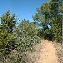 McKinney Roughs Nature Park