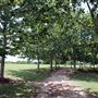 Mueller Lake Park