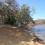 Buescher State Park