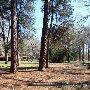 Buescher State Park