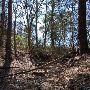 Buescher State Park