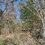Buescher State Park