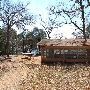 Buescher State Park